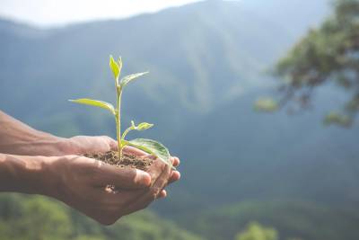 Criciúma terá ações de educação ambiental durante Semana do Meio Ambiente