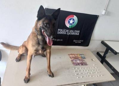 Mulher é presa em Araranguá após PM encontrar mais de 30 pedras de crack