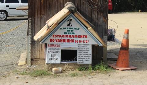 Criciumense constrói casa para cachorros de rua 