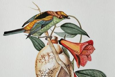 Exposição em Siderópolis reúne mais de 20 artistas de diferentes estados do Brasil