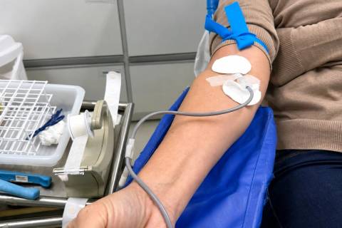 Mobilização em Cocal do Sul coleta 75 bolsas de sangue e município articula nova ação