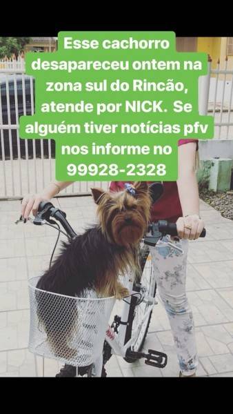 Procura-se Nick