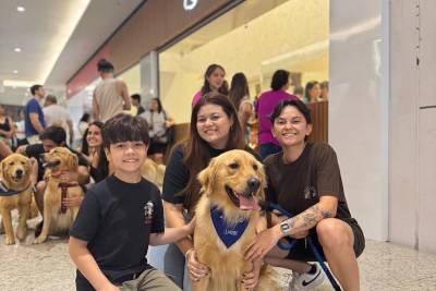Desfile de fofura: encontro de Goldens reúne mais de 70 cães no Nações Shopping
