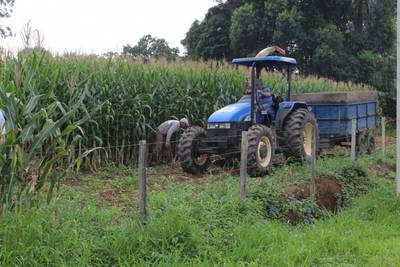 Secretaria Municipal de Agricultura incentiva produção de silagem