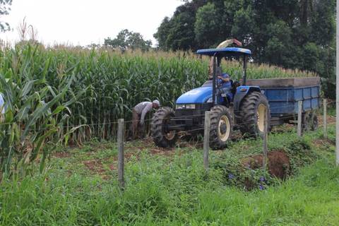 Secretaria Municipal de Agricultura incentiva produção de silagem