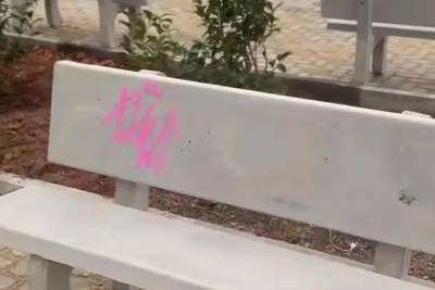 Prefeito de Siderópolis pede consciência após vandalismo em complexo ainda não inaugurado; veja vídeo