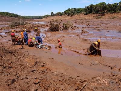Após quatro anos de Brumadinho, CBMSC avança nos trabalhos em áreas deslizadas