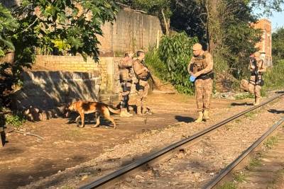 Operação Apneia ganha nova fase e limpeza de terrenos são feitas no bairro Pinheirinho; veja fotos e vídeos