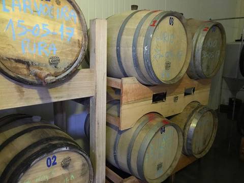 Cervejeiros do Sul buscam barris de madeira, lúpulos e boas histórias