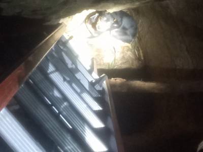 Bombeiros voluntários resgatam cachorro que caiu em buraco de quase sete metros de profundidade