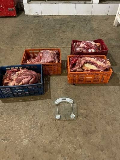 Laudo da Polícia Federal confirma que carne apreendida em Morro da Fumaça era de cavalo