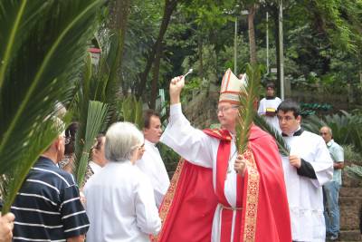 As provas de fé no Domingo de Ramos