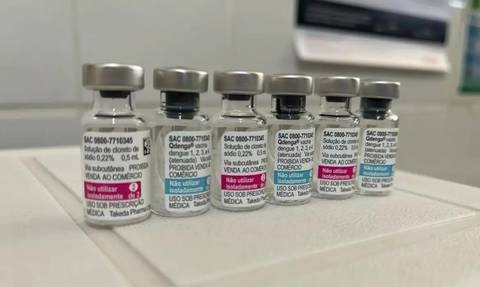 Vacinas da dengue: definidos os 13 primeiros municípios catarinenses que receberão doses