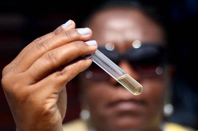 Estudo revela que pequenos recipientes são os principais potenciais criadouros do Aedes aegypti 