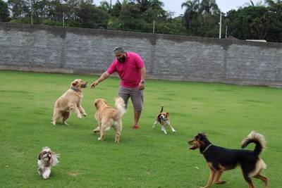 Creche para cães: cuidado, amor e dedicação aos animais