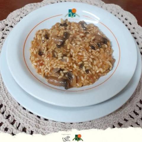RISOTO DE CHAMPIGNON COM MOLHO PESTO DE TOMATE SECO