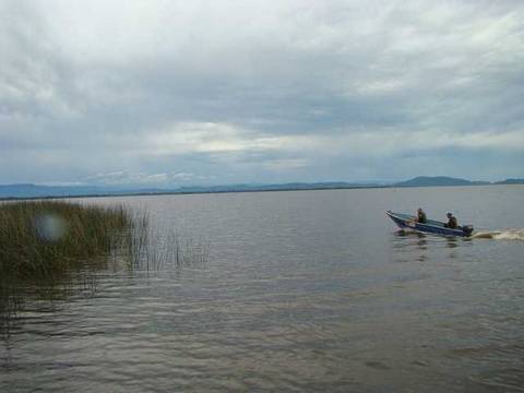 Lagoa de Sombrio: sai sentença contra Fatma e rizicultores