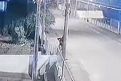 Vídeo: homem escala poste, furta fios e deixa bairro Pinheirinho sem energia, em Criciúma