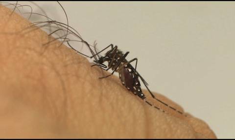 Brasil já tem mais de 3 milhões de casos de dengue em 2024