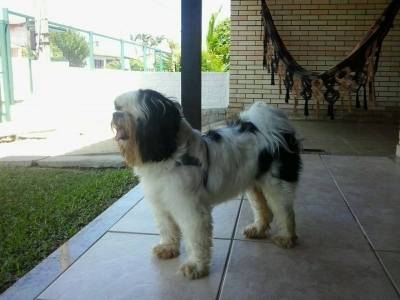 Procura-se Billy