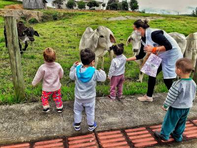 Creche de Nova Veneza promove resgate histórico sobre meio ambiente