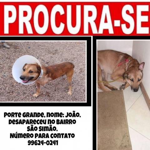 Procura-se João Da Rua 