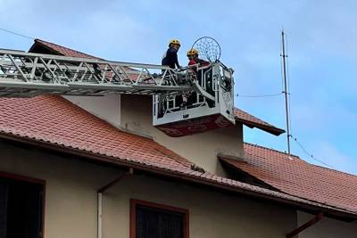 Vídeo: gato preso sobre telhado de prédio é resgatado em Criciúma