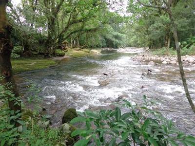 Recantos naturais de Timbé do Sul são opções para aproveitar o verão 
