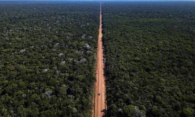 JBS apresenta planos de desenvolvimento com foco na preservação da Amazônia