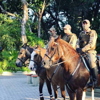 Câmara aprova doação de terreno para instalação da cavalaria na Vila Floresta 