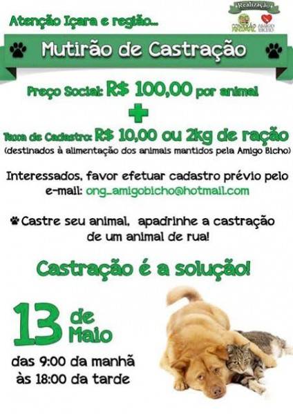 Ong investe em mutirão para reduzir número de animais de rua