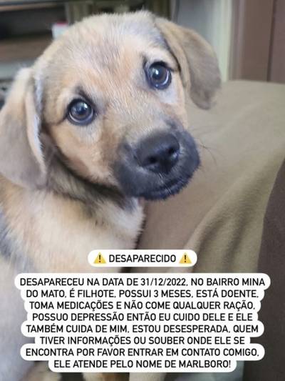 Procura-se Malboro