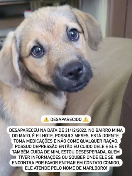 Procura-se Malboro
