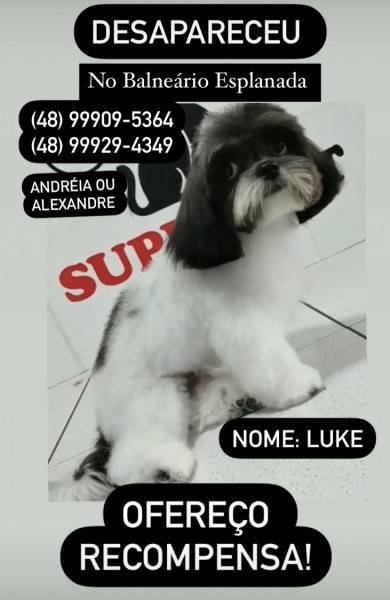 Procura-se Luke