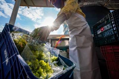Fapesc seleciona bolsistas para desenvolver inovações para a agricultura e o agronegócio em SC