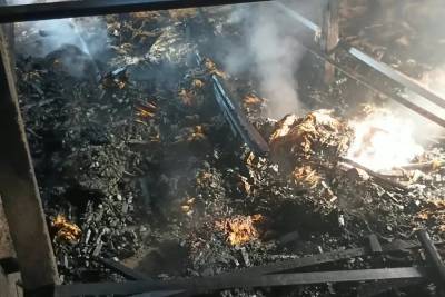 Bombeiros são acionados após estufa de fumo ser atingida por incêndio