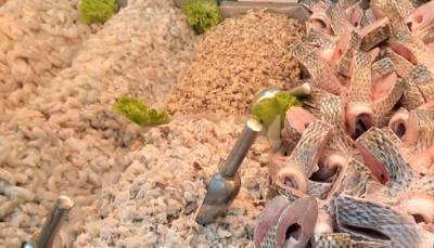 Peixarias que funcionam no Mercado Público de Florianópolis estão com atividades suspensas