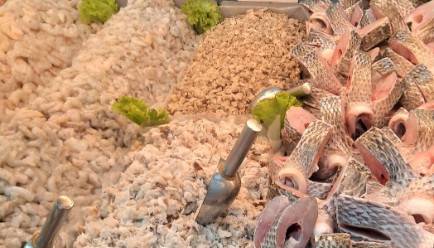 Peixarias que funcionam no Mercado Público de Florianópolis estão com atividades suspensas