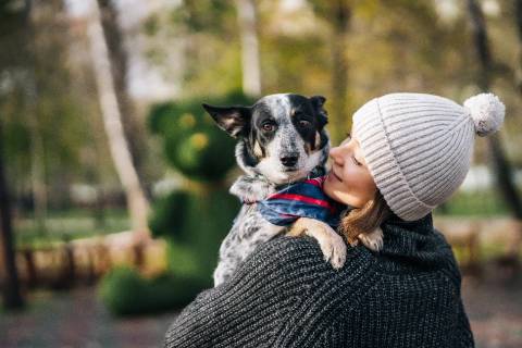 Inverno: estação exige cuidados com os animais durante as baixas temperaturas