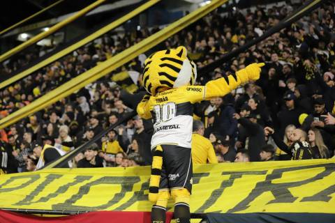 Com novidade e atletas da base, Tigre inscreve seis nomes no Campeonato Catarinense