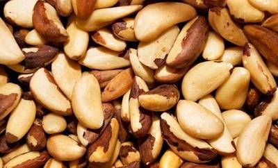 Veja os benefícios de incluir a castanha-do-Pará em sua alimentação