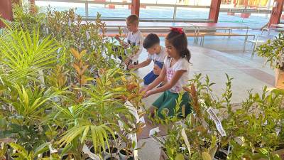 Departamento de Educação de Maracajá promove programação especial para a Semana do Meio Ambiente