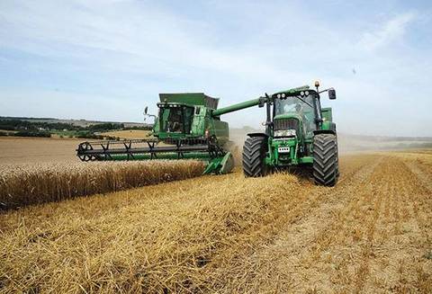Milhares se candidatam para empregos na agricultura no Reino Unido
