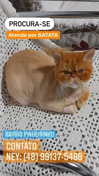ENCONTRADO