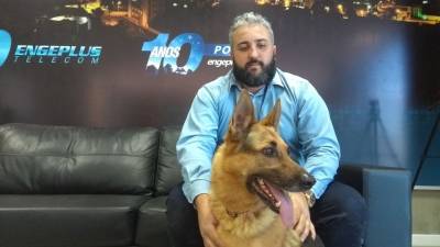 VÍDEO: Creche para cachorros, uma forma de desestressar os pets