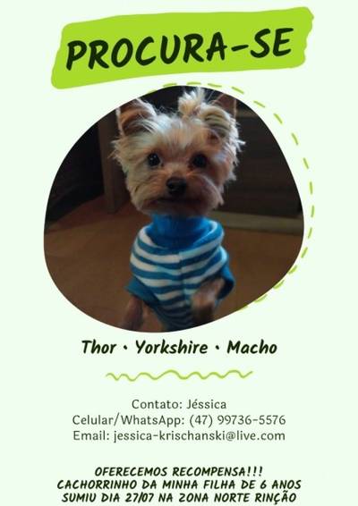 Procura-se Thor