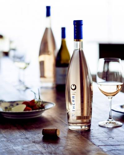 A excelência dos vinhos da serra catarinense e da gastronomia à mesa