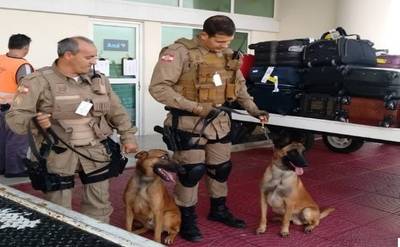 Tubarão tem primeira base militar canina em aeroportos de Santa Catarina 