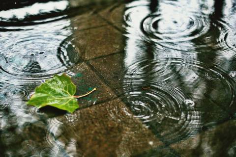 Criciúma terá terça-feira nublada e com pancadas de chuva