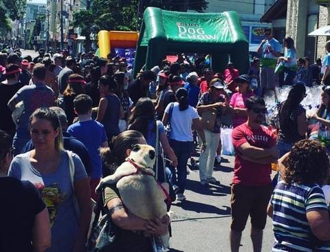 Maior evento pet do Sul catarinense acontece neste fim de semana